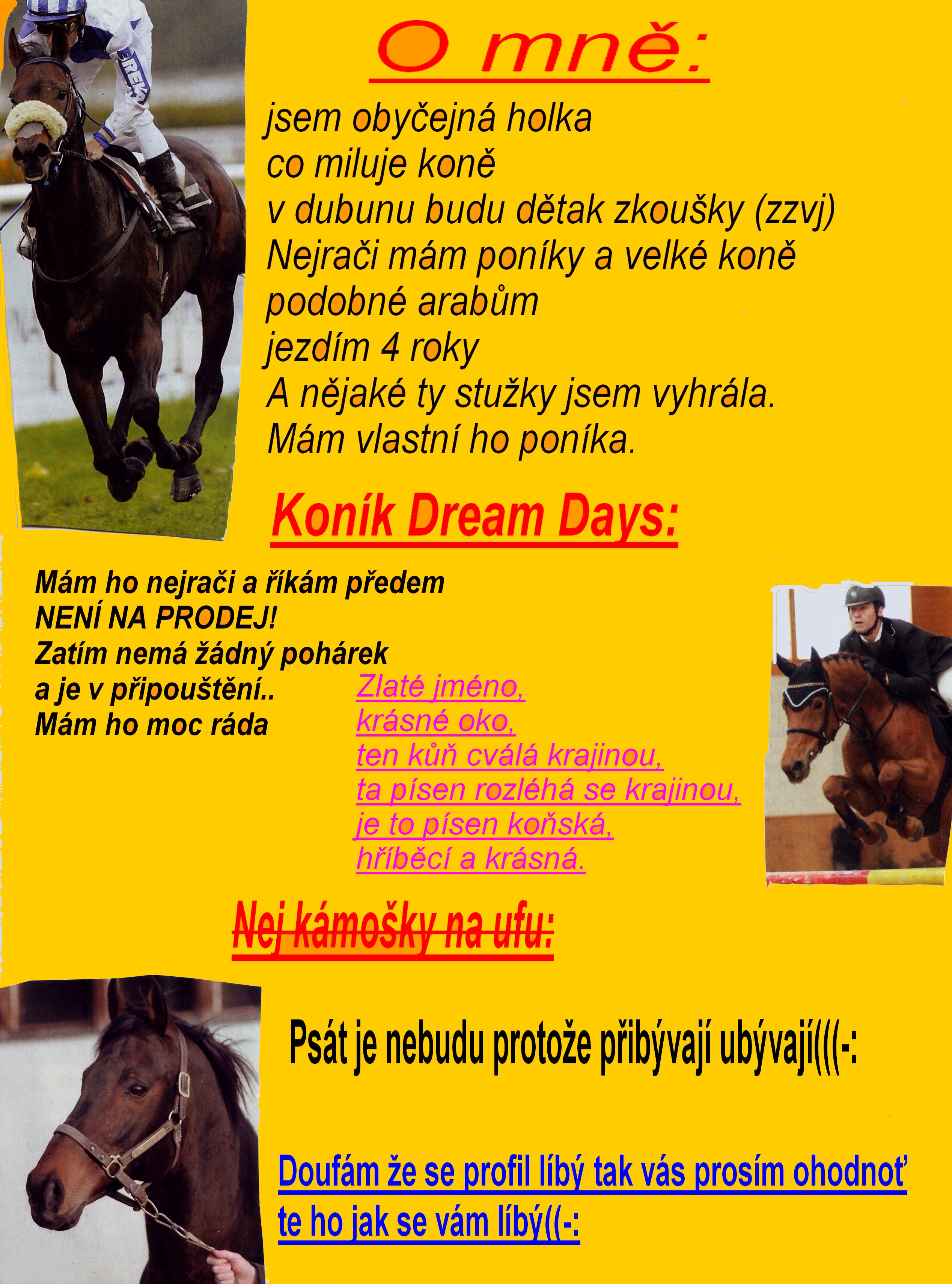 profil.JPG
